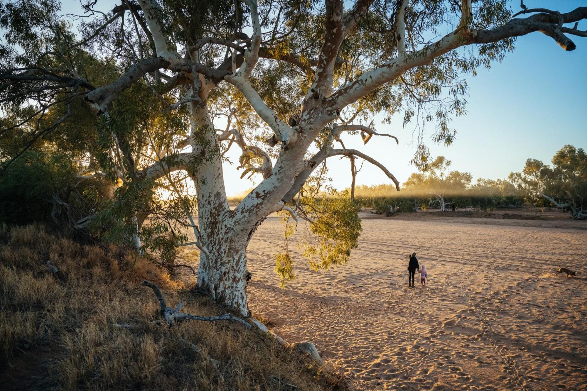 Farm stay Wooramel River Retreat *