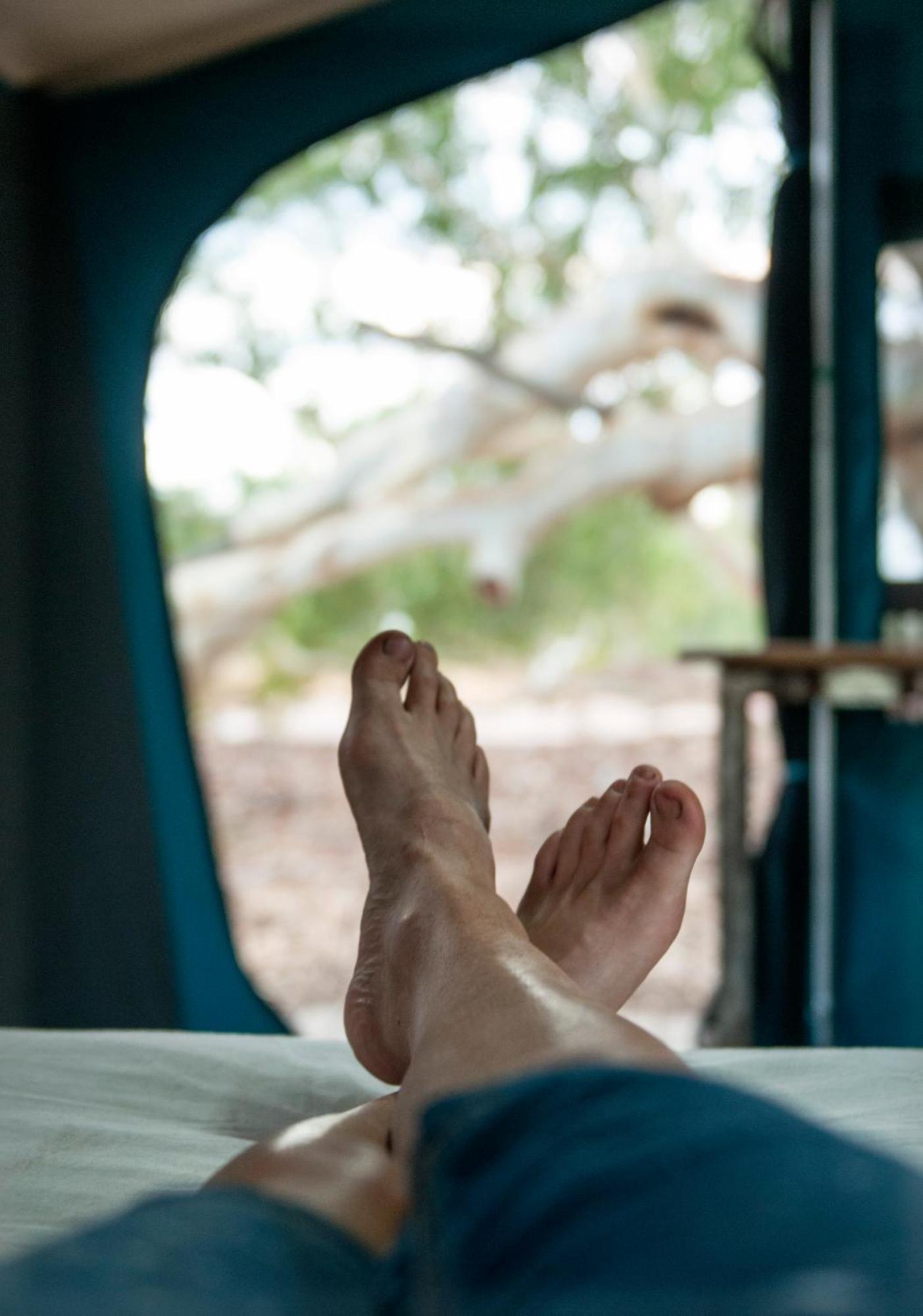 Farm stay Wooramel River Retreat Carnarvon