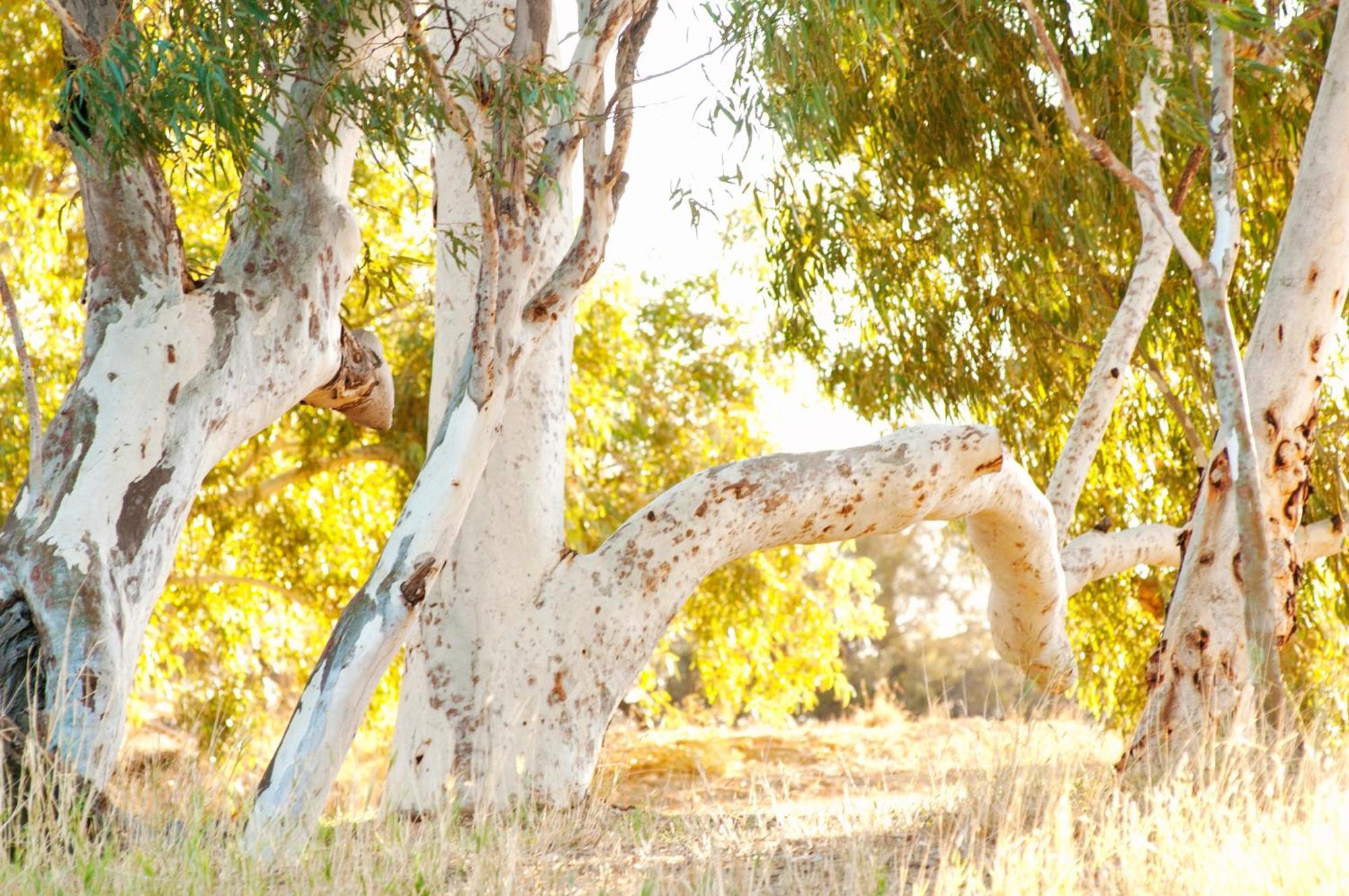 Wooramel River Retreat